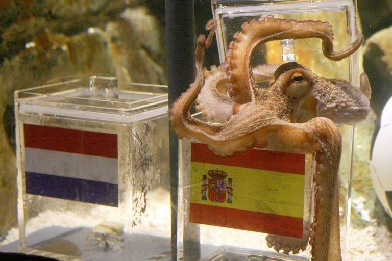 Holanda e Portugal na final da Copa do Mundo 2026 segundo modelo de previsão
